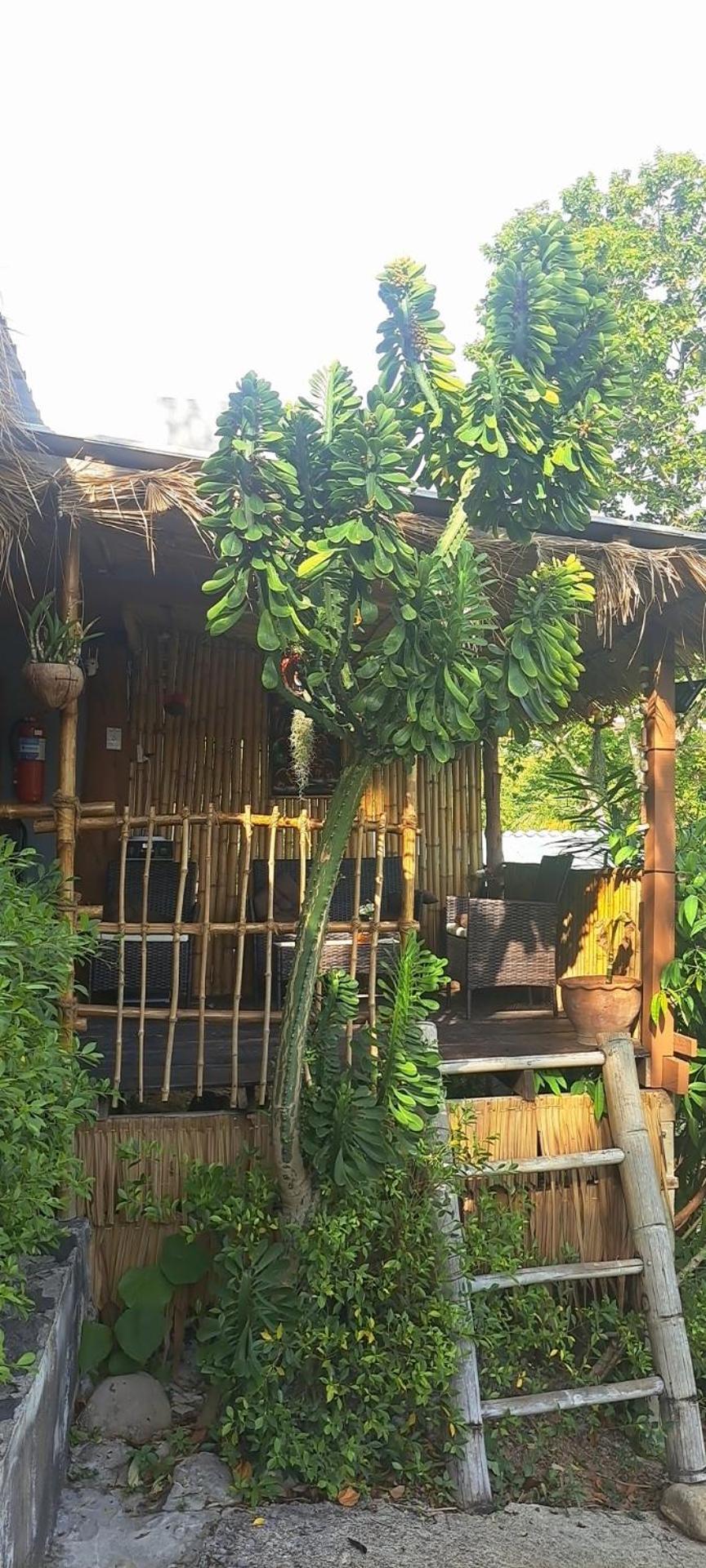 Siam Flora Resort Ko Lanta Cameră foto